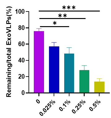 wechat_2025-10-13_073223_080