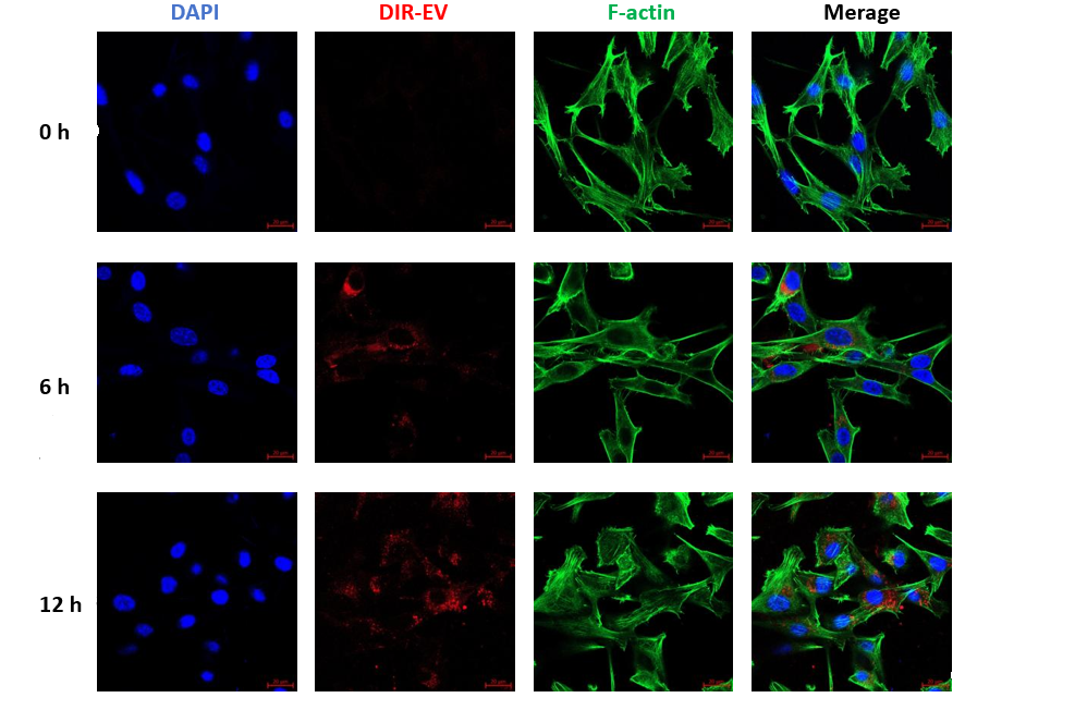 wechat_2025-10-13_073955_114