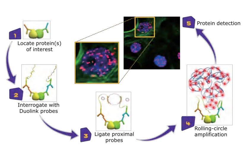 ScreenShot_2025-11-25_143659_934