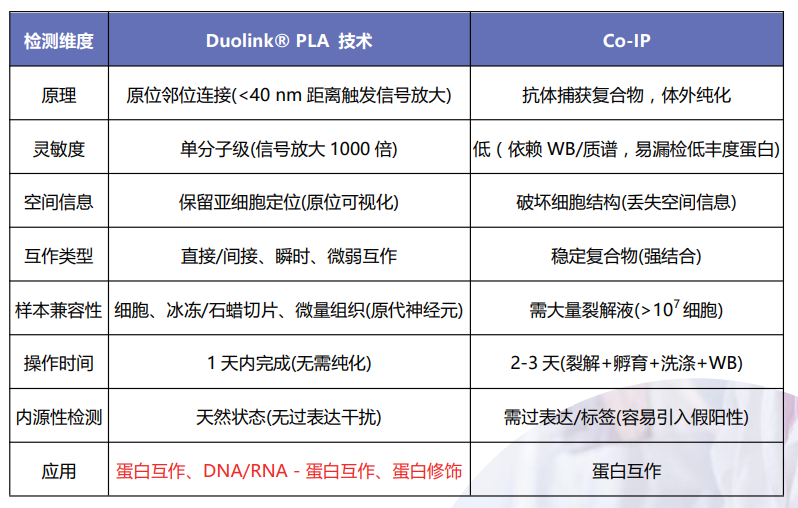 ScreenShot_2025-11-25_143758_350